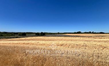 Gran campo agrícola cercano a Retiro