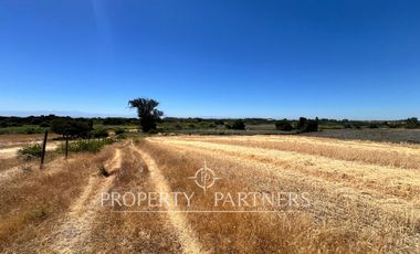 Gran campo agrícola cercano a Retiro