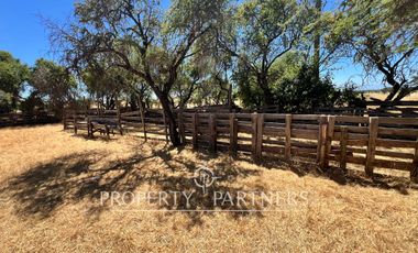 Gran campo agrícola cercano a Retiro