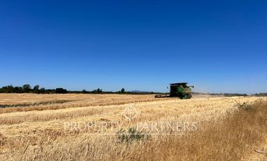 Gran campo agrícola cercano a Retiro