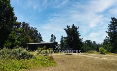 Pichilemu, Casa en Precioso bosque en Cahuil