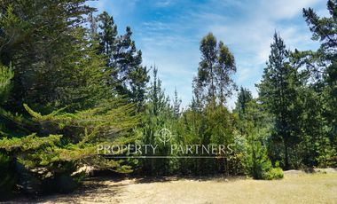 Pichilemu, Casa en Precioso bosque en Cahuil