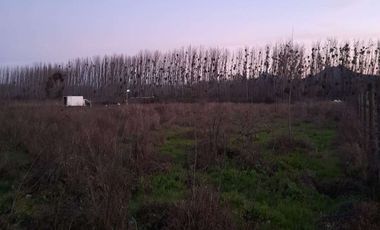 En Venta Terreno Plano de 5000 m2 con luz y agua en Coltauco