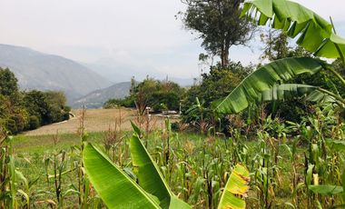 Venta Quinta Guayllabamba para descanso y  agricultura