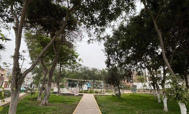 Alquiler De Departamento Urbanización Mangomarca