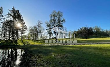 OPORTUNIDAD PARCELAS VILLARRICA SEGUNDA FAJA /VENTA EN VERDE