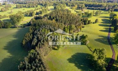 OPORTUNIDAD PARCELAS VILLARRICA SEGUNDA FAJA /VENTA EN VERDE