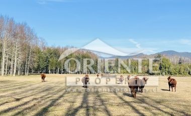 OPORTUNIDAD PARCELAS VILLARRICA SEGUNDA FAJA /VENTA EN VERDE