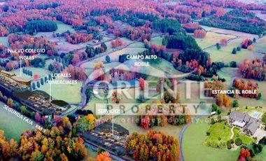 OPORTUNIDAD PARCELAS VILLARRICA SEGUNDA FAJA /VENTA EN VERDE