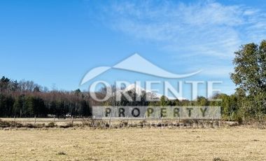 OPORTUNIDAD PARCELAS VILLARRICA SEGUNDA FAJA /VENTA EN VERDE