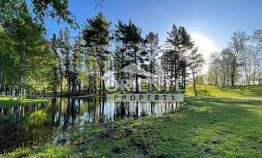 OPORTUNIDAD PARCELAS VILLARRICA SEGUNDA FAJA /VENTA EN VERDE