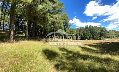 OPORTUNIDAD PARCELAS VILLARRICA SEGUNDA FAJA /VENTA EN VERDE