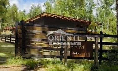 ARRIENDO AÑO CORRIDO CASA EN CAMINO VILLARRICA PUCON - MOLCO