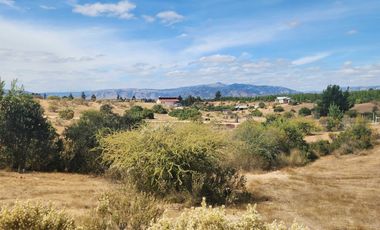 Parcela 5000m2 Campos de Lolol