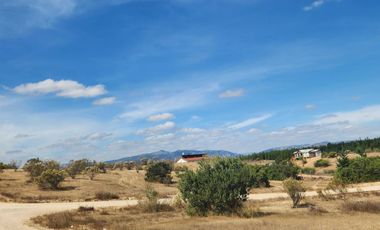 Parcela 5000m2 Campos de Lolol