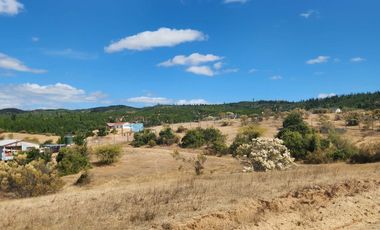 Parcela 5000m2 Campos de Lolol