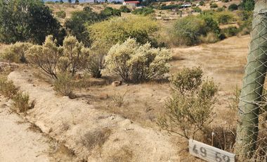 Parcela 5000m2 Campos de Lolol