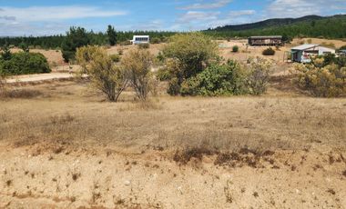 Parcela 5000m2 Campos de Lolol