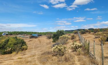 Parcela 5000m2 Campos de Lolol