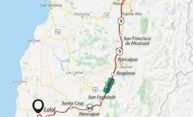 Parcela 5000m2 Campos de Lolol