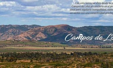 Parcela 5000m2 Campos de Lolol