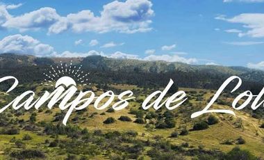 Parcela 5000m2 Campos de Lolol