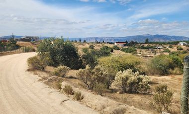 Parcela 5000m2 Campos de Lolol