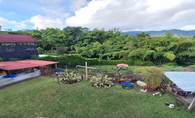 FINCA EN VENTA/SECTOR GUACAS/SANTA ROSA DE CABAL