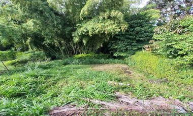 FINCA EN VENTA/SANTA ROSA DE CABAL/SECTOR GUACAS
