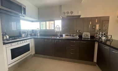 Pent-house interior silencioso con o sin muebles en Hipódromo con Roofgarden