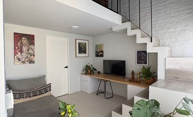 Departamento en renta AMUEBLADO en  Santa Tere