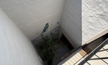 Departamento en renta AMUEBLADO en  Santa Tere