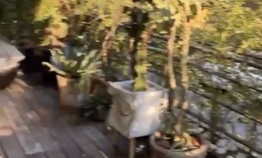 Bonito departamento en la Juárez exterior.