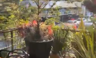 Bonito departamento en la Juárez exterior.