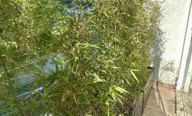 VENTA HERMOSA CASA EN CONDOMINIO (TOWN HOUSE ) EN VITA HOMES SANTA FE