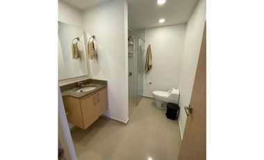 Rento Apartamento Amoblado en Sector Palmas