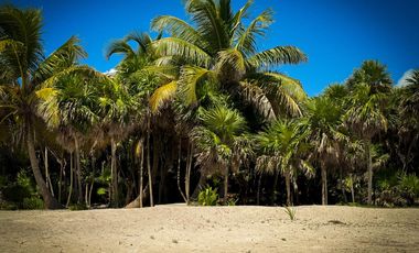 VILLA EN VENTA EN TULUM FRENTE A A LA PLAYA CON ALBERCA ROI EXCLUSIVA AMUEBLADA Y EQUIPADA