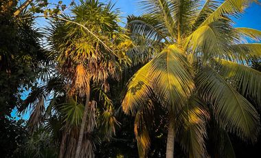 VILLA EN VENTA EN TULUM FRENTE A A LA PLAYA CON ALBERCA ROI EXCLUSIVA AMUEBLADA Y EQUIPADA