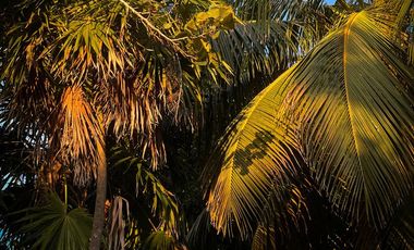 VILLA EN VENTA EN TULUM FRENTE A A LA PLAYA CON ALBERCA ROI EXCLUSIVA AMUEBLADA Y EQUIPADA