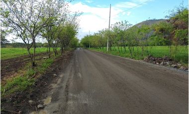 ALQUILO LOTE RURAL VIA YUMBO -  VIJES