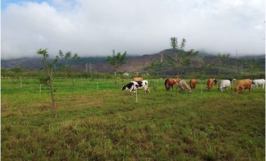 ALQUILO LOTE RURAL VIA YUMBO -  VIJES