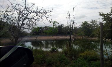 ALQUILO LOTE RURAL VIA YUMBO -  VIJES