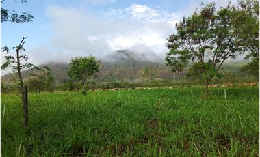ALQUILO LOTE RURAL VIA YUMBO -  VIJES