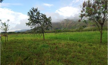 ALQUILO LOTE RURAL VIA YUMBO -  VIJES