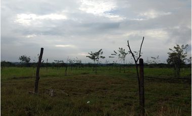 ALQUILO LOTE RURAL VIA YUMBO -  VIJES