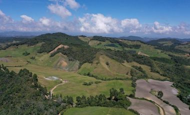 Finca, Vereda Vallepalito, La Union