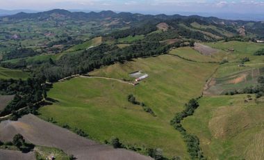 Finca, Vereda Vallepalito, La Union