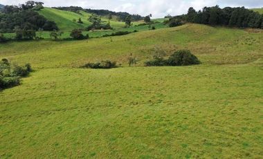 Finca, Vereda Vallepalito, La Union