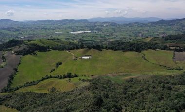 Finca, Vereda Vallepalito, La Union