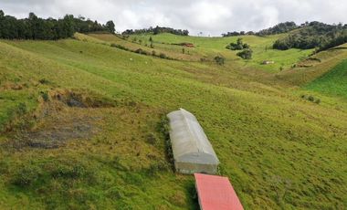 Finca, Vereda Vallepalito, La Union